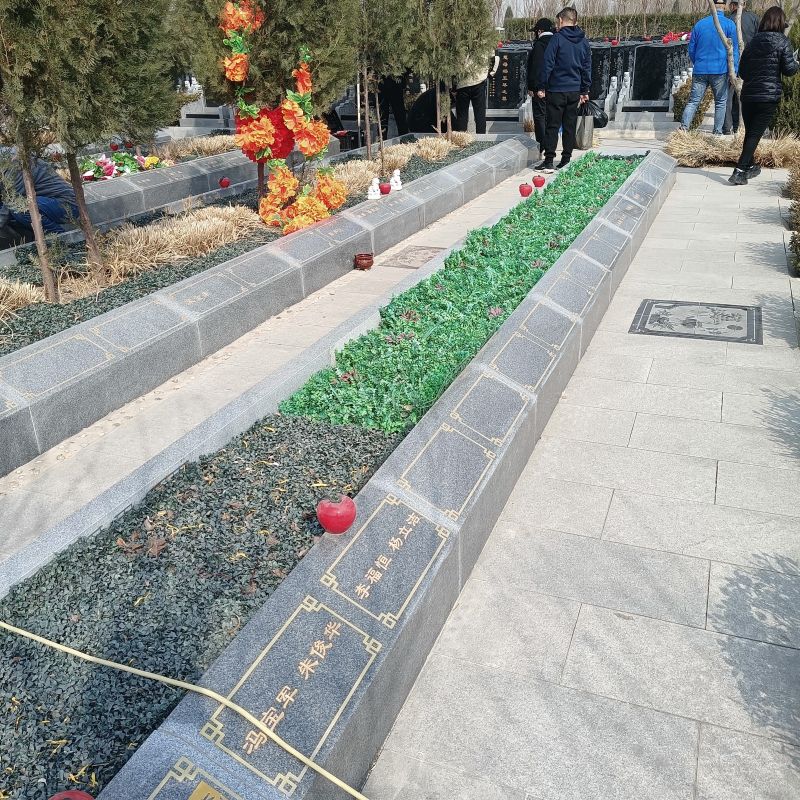 微信图片_20240403214631.jpg