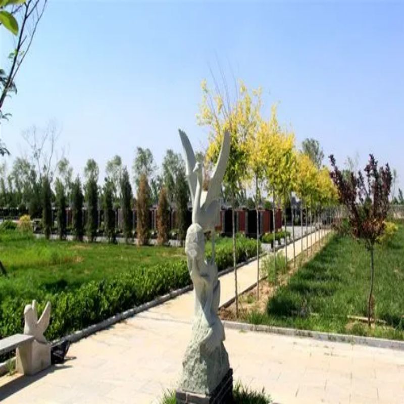 u=1355300431,203496859&fm=253&fmt=auto&app=138&f=JPEG.jpg